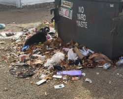 Rescuers Freeze When They See a Helpless Dog Tied to a Dumpster