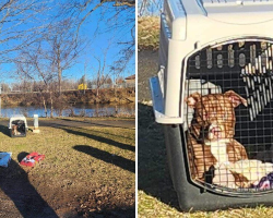 He Was Abandoned by the River With All His Belongings — Now He Can’t Stop Smiling