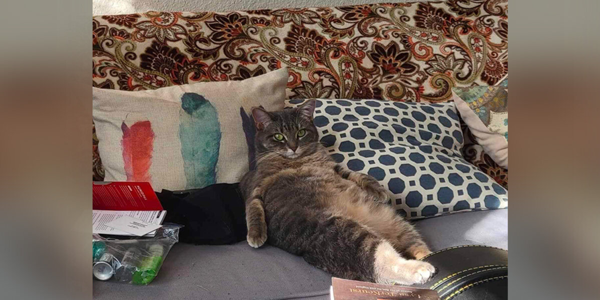 This Freeloading Roommate Doesn’t Pay Rent — But She’s Too Cute to Kick Out
