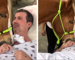 Man Overwhelmed With Emotion During Heartfelt Visit From Gentle Therapy Horse