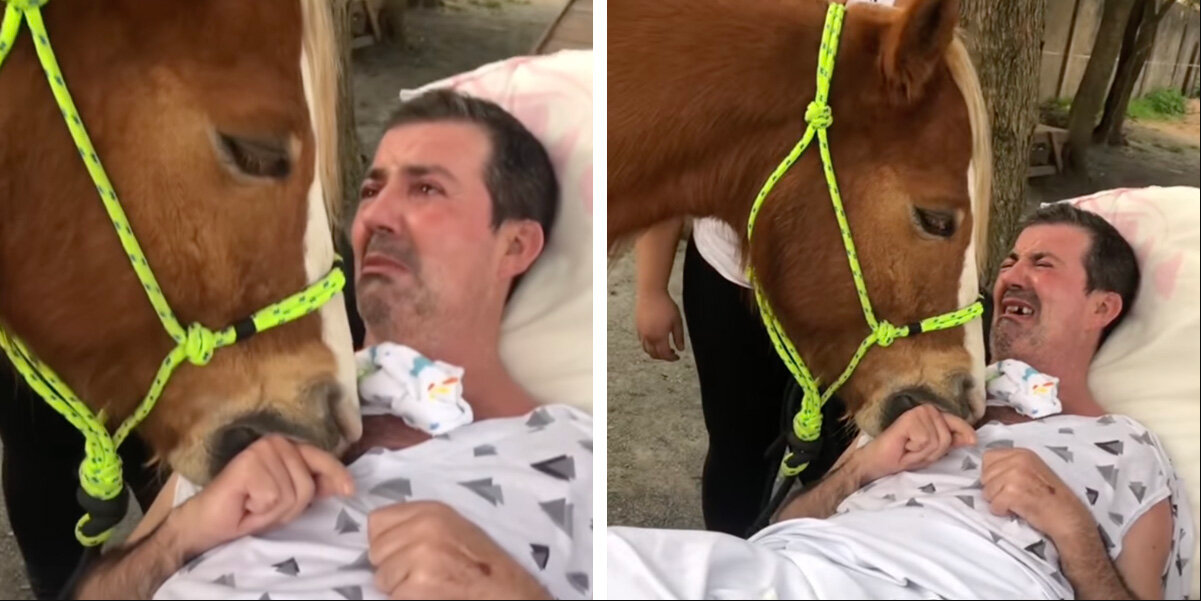 Man Overwhelmed With Emotion During Heartfelt Visit From Gentle Therapy Horse