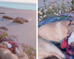 Man Creates Virtual World To Reunite With His Beloved Dog After Her Passing