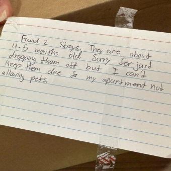 Handwritten Note on Sealed Box Leads to Heartbreaking Discovery