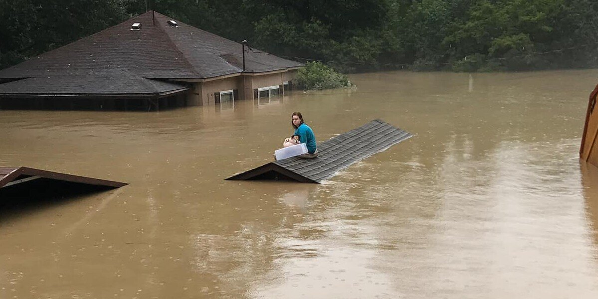 Woman Uses Plastic Bin to Save Her Senior Dog From Life-Threatening Flood