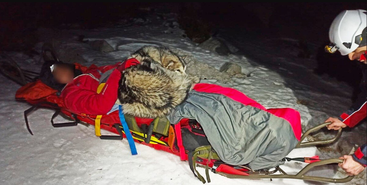 Loyal Dog Cuddles Injured Hiker for 13 Hours to Keep Him Alive