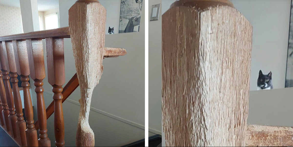 Cat Spends 11 Years Transforming a Banister Into His Personal Masterpiece
