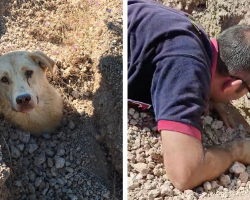 Hero Vet Hears Cries From the Dirt — And Uncovers a Hidden Family in Need