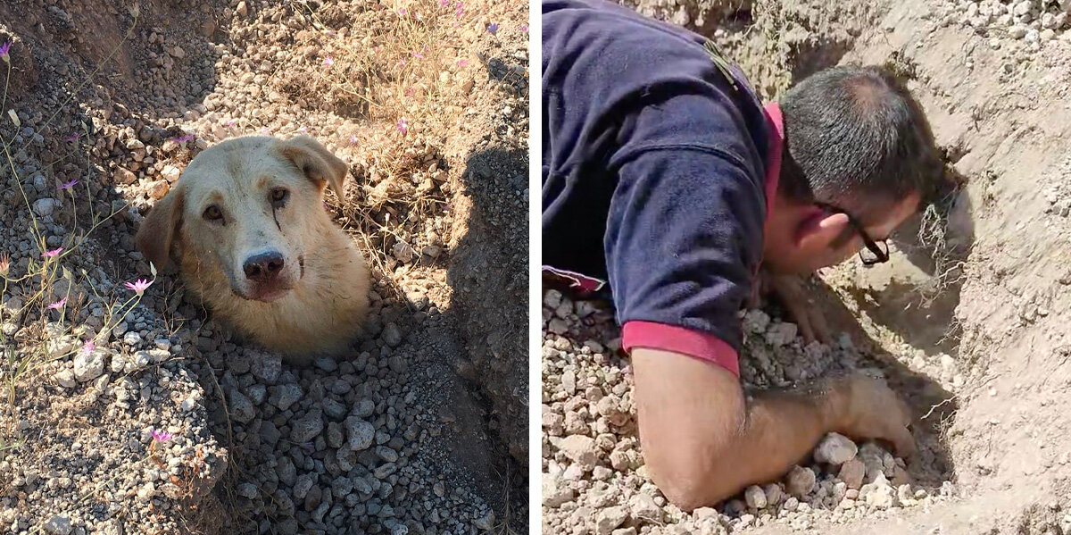 Hero Vet Hears Cries From the Dirt — And Uncovers a Hidden Family in Need