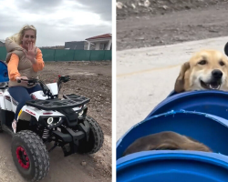 Woman Builds Adorable ‘Dog Train’ So Disabled Rescue Pups Can Explore the World
