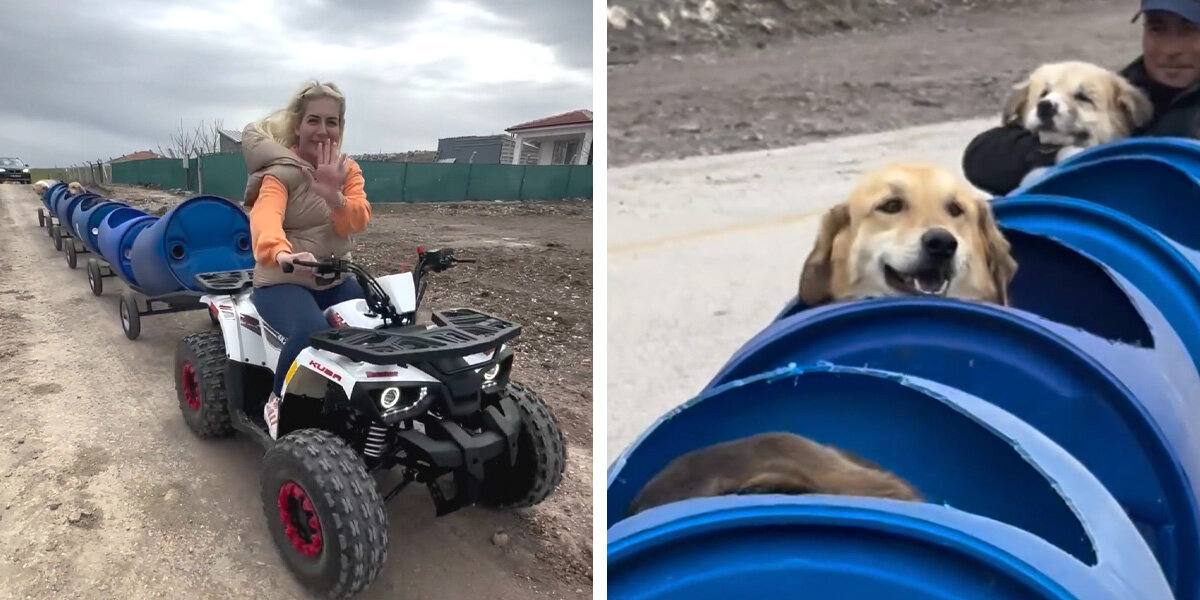 Woman Builds Adorable ‘Dog Train’ So Disabled Rescue Pups Can Explore the World
