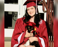 Little Girl Asked Her Cat to Stay With Her Until Graduation — And He Did