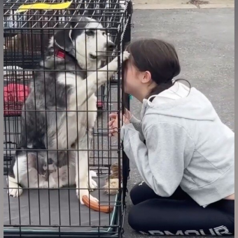 Senior Dog Overlooked for Years Finds a Family — Thanks to a Little Girl’s Intuition