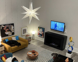 Man Transforms Spare Bedroom Into Luxurious Mini Living Room — Just for His Dogs