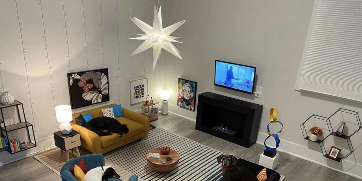 Man Transforms Spare Bedroom Into Luxurious Mini Living Room — Just for His Dogs