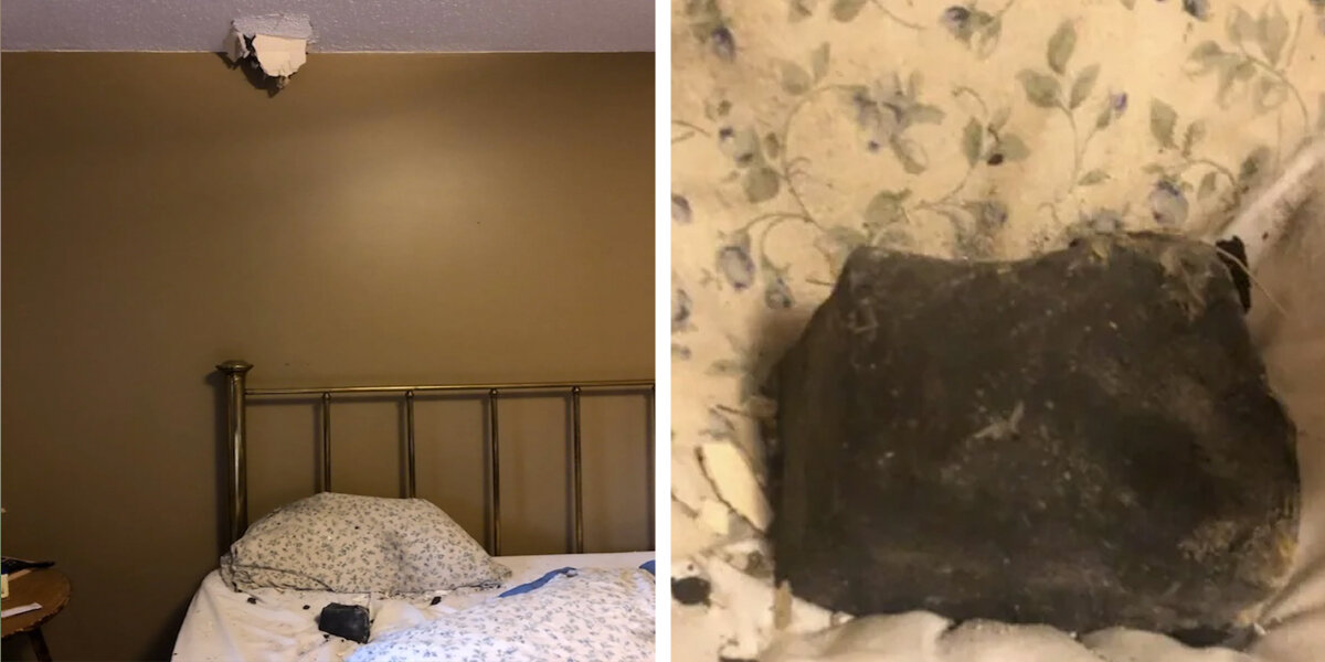 Dog Wakes His Owner Just Moments Before a Meteor Crashes Into Her Bed