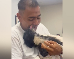 ‘Miracle’ Dog Breaks Down With Joy After Finally Reuniting With Her Dad