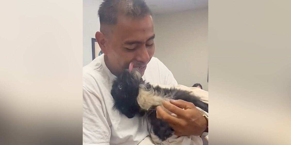 'Miracle' Dog Breaks Down With Joy After Finally Reuniting With Her Dad