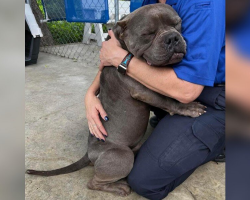 Grateful Rescue Dog Can’t Stop Hugging the People Who Saved Him