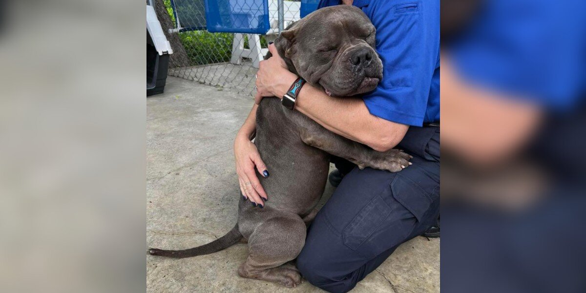 Grateful Rescue Dog Can’t Stop Hugging the People Who Saved Him