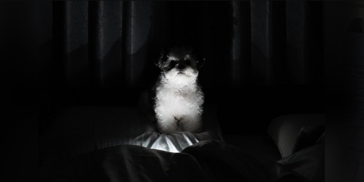 Woman Wakes Up in the Night to a Glowing Face Staring at Her — And It's Not What You Think