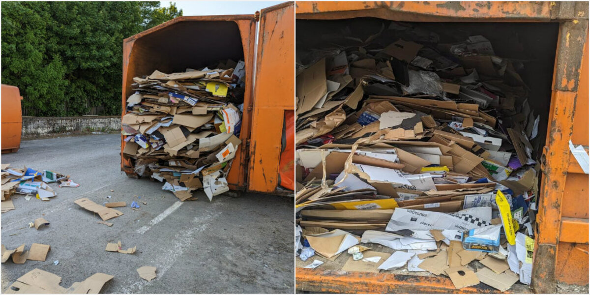 Workers Hear Cries Coming From Cardboard Crusher — And Find a Mother and Her Baby Trapped Inside