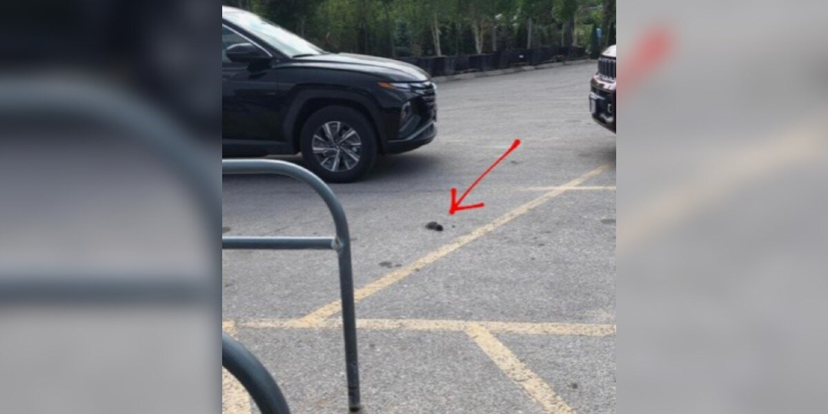 Woman Thinks She Sees an Oil Spot in a Parking Lot — Ends Up Saving a Life