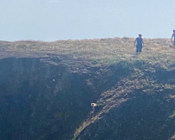 Firefighters Rush To Rescue Dog Trapped On Cliff’s Edge — And Her Reaction Says It All