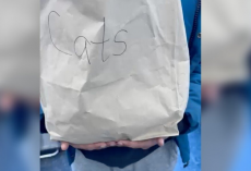 Driver Spots Bag Marked ‘Cats’ on Highway — Then Hears a Sound That Makes Him Stop
