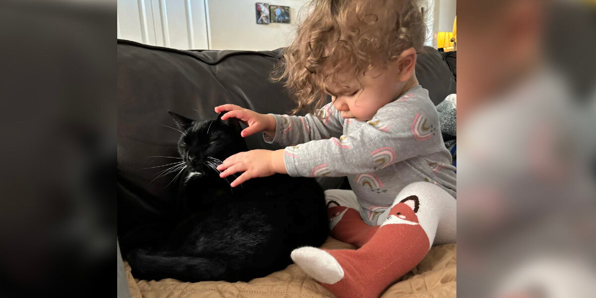 Blind Toddler and Her Devoted ‘Seeing-Eye Cat’ Are the Cutest Inseparable Duo