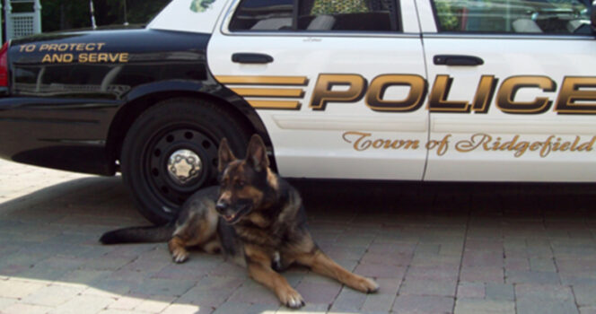 Beloved K9 Officer Zeus Honored With Hero’s Farewell