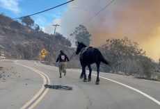 Teen Hero Guides Frightened Horse Through Wildfire to Safety
