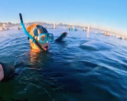 Snorkeler Feels a Tug on Her Leg — And Gets the Sweetest Surprise