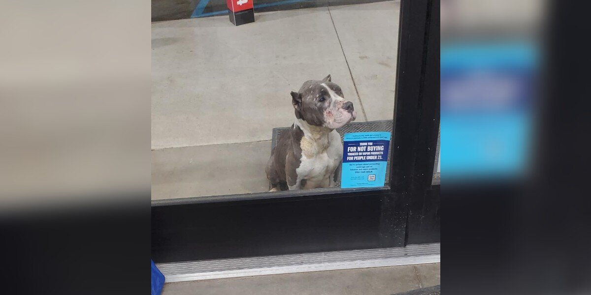 Shoppers Spot a Silent Plea for Help at a Dollar Store — And It Changes Everything