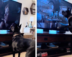 Brave Pup Jumps Into Action During Intense ‘Jurassic Park’ Scene to “Protect” Kids