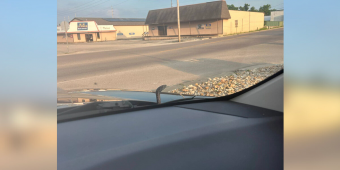 Woman Nearly Swerves Off Road When Surprise Passenger Pops Out From Her Car Hood