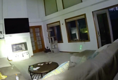 Colorado Cops Try Hilariously Creative Trick to Evict a Bobcat From Woman’s Home