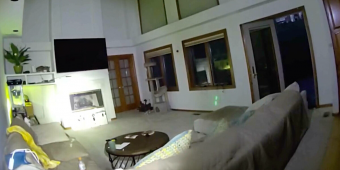 Colorado Cops Try Hilariously Creative Trick to Evict a Bobcat From Woman’s Home