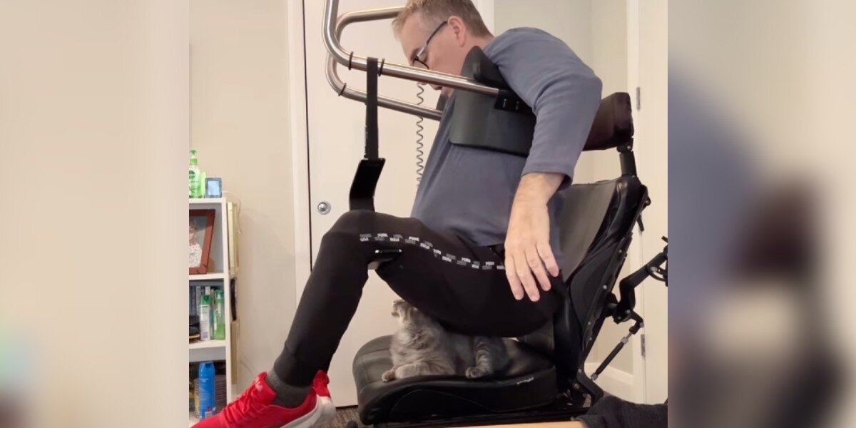 Cats Keep Hijacking Dad’s Wheelchair — And They Refuse To Give It Back