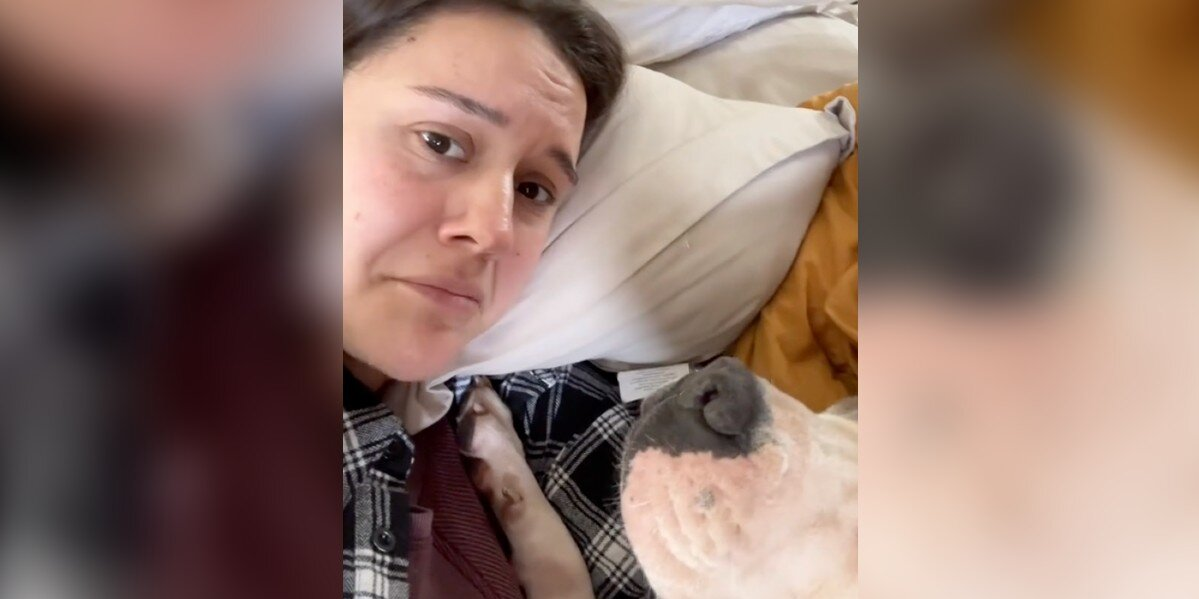 She Was Crying on the Couch — Then Her Foster Dog Did Something Remarkable