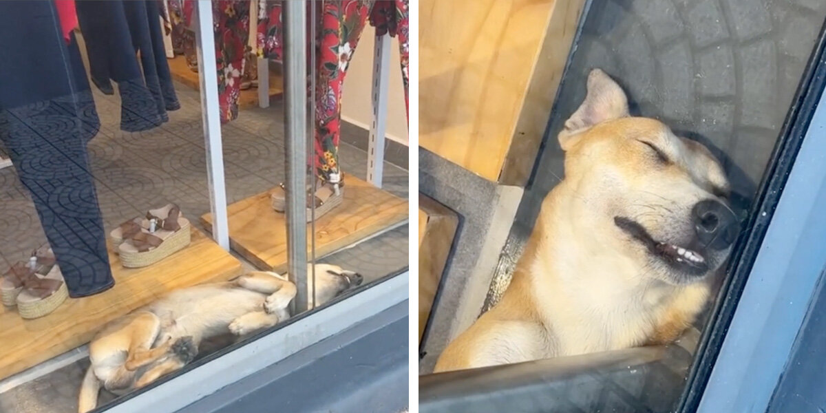 Woman Walks By Boutique Window — And Sees a Beautiful Act of Kindness Inside