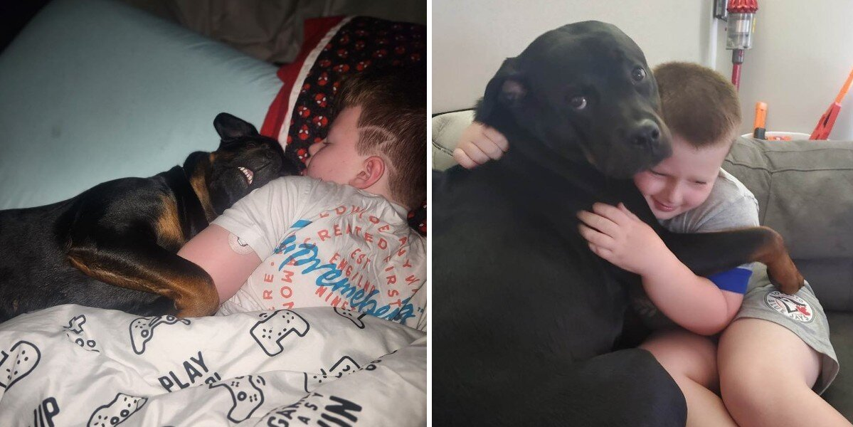 Dog Snuggles Her Human Brother to Sleep — And Ends Up Saving His Life