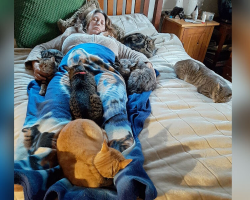 Cats Sense Mom Needs Comfort After Surgery — And Surround Her With Love