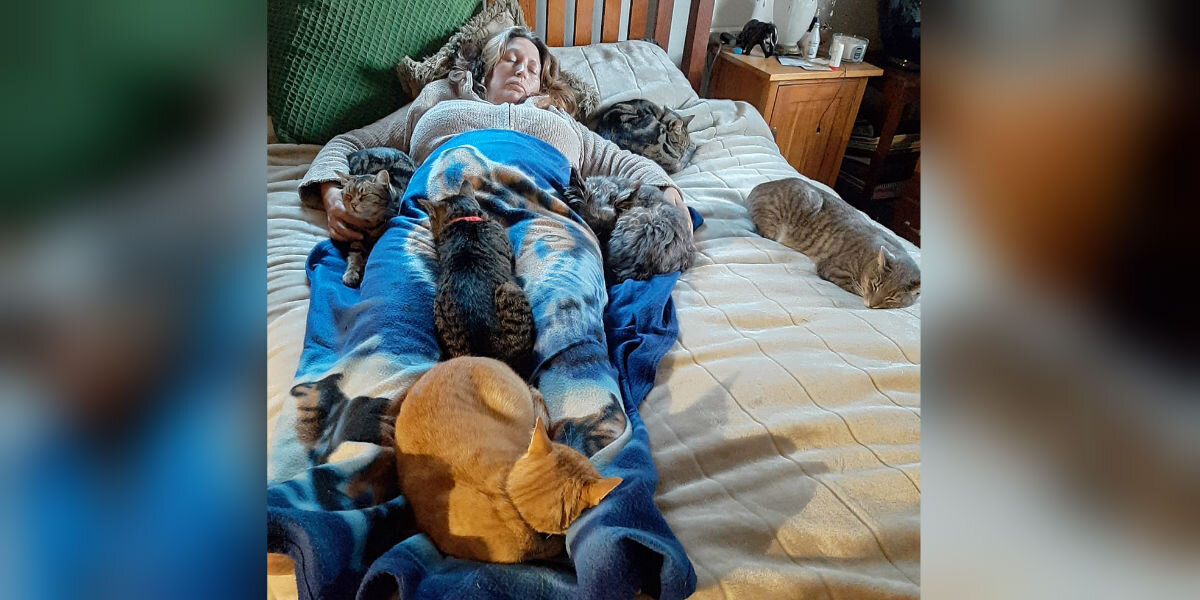 Cats Sense Mom Needs Comfort After Surgery — And Surround Her With Love