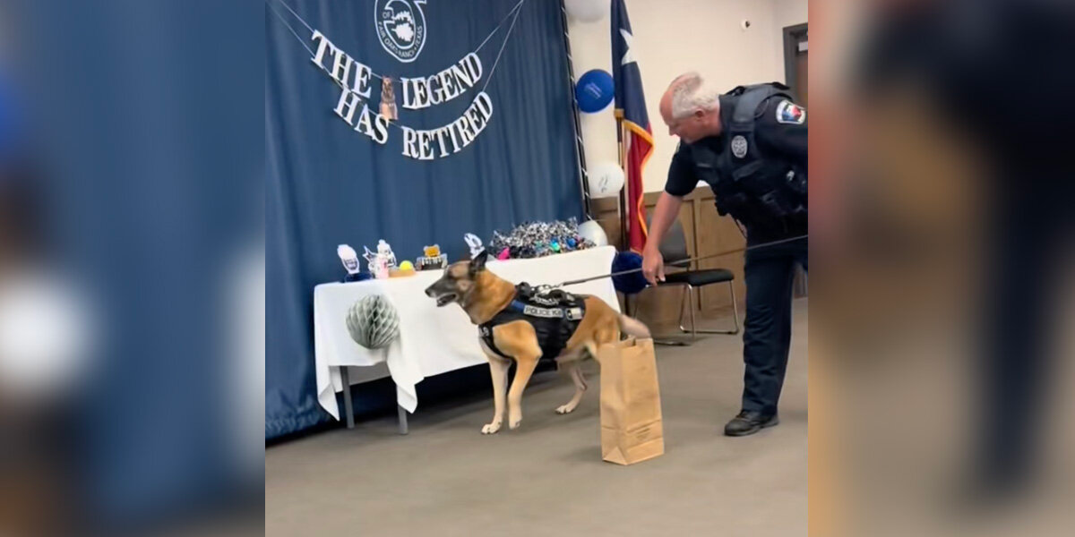 Police Officers Throw Adorable Retirement Party for Beloved K-9