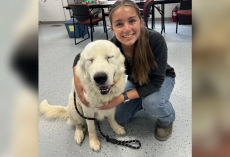 Senior Dog Fakes Being Frail — Just to Find the Perfect Home
