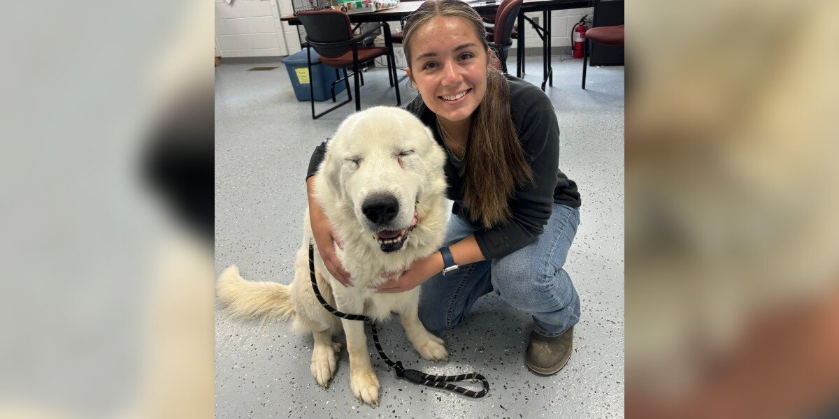 Senior Dog Fakes Being Frail — Just to Find the Perfect Home
