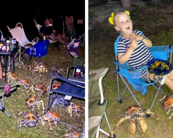 Family’s Picnic Gets Overtaken by a Swarm of Giant Crabs