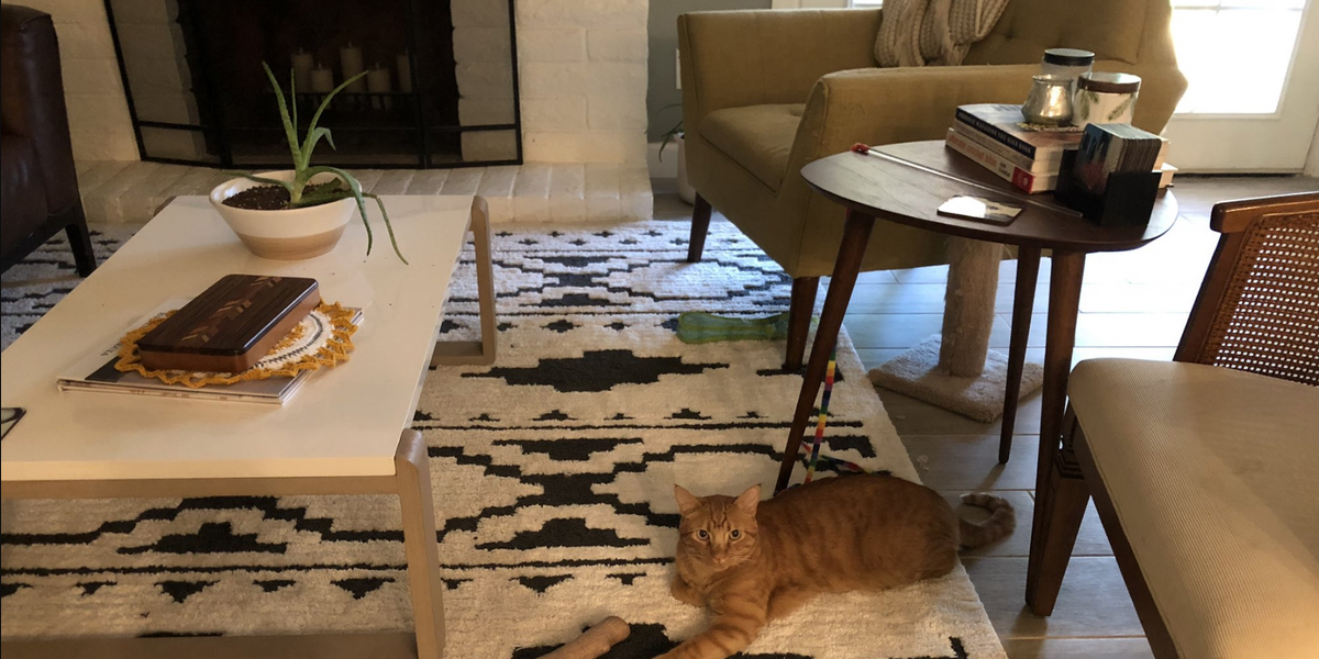 Cat Mom Sees Her Kitty on the Floor — Then Gasps at What Looks Like a Missing Paw