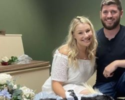 Couple Holds Last-Minute Wedding at Vet Clinic So Their Senior Dog Could Be There