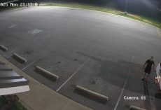 Security Cameras Capture Gut-Wrenching Abandonment Outside Animal Shelter